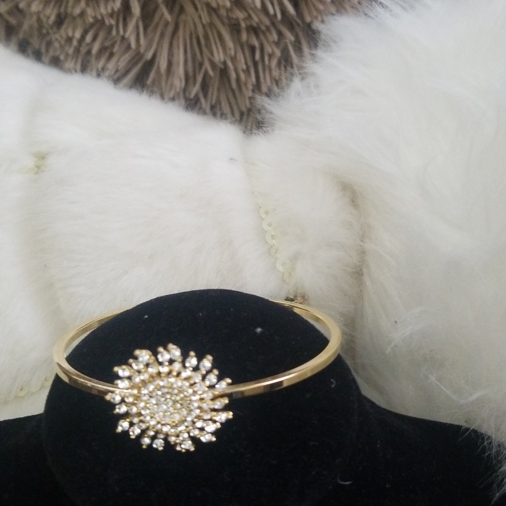Fashion jewelry bangle